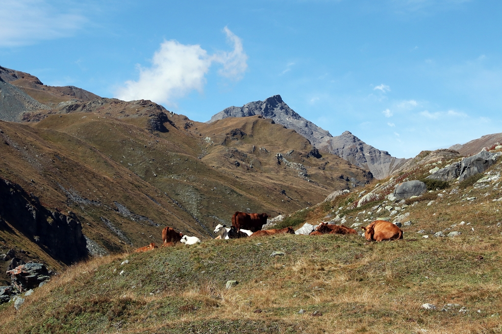 Abstieg von der Cabane de Moiry