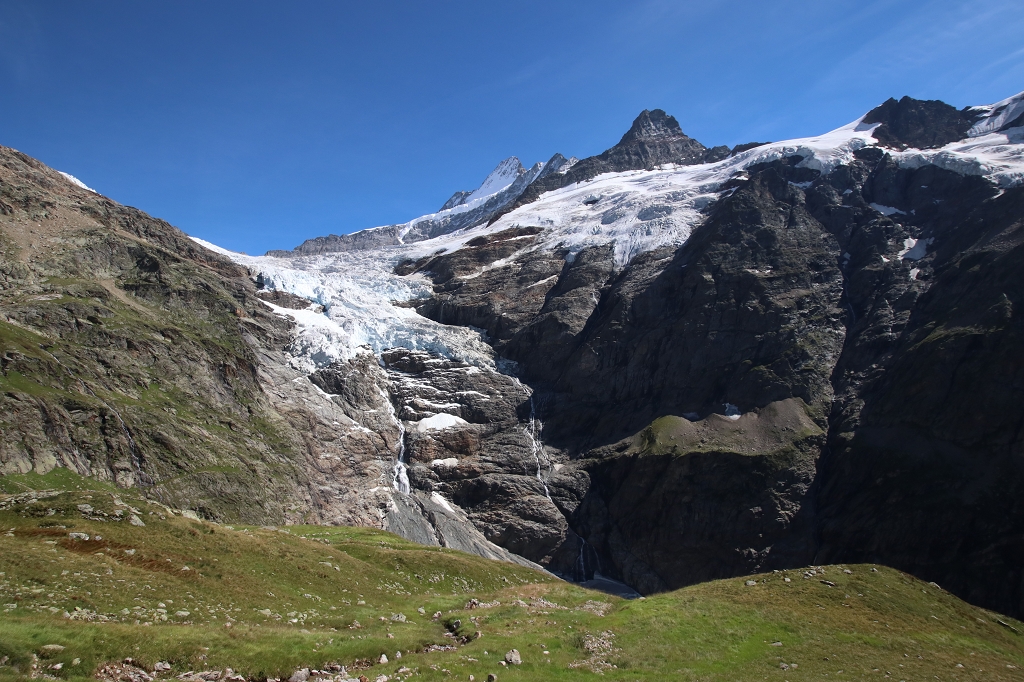 Wetterhorntrek von Grindelwald zur Glecksteinhütte - Oberer Grindelwaldgletscher