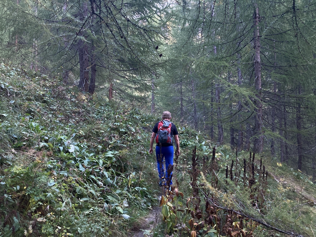 Zustieg zum Pas du Chasseur