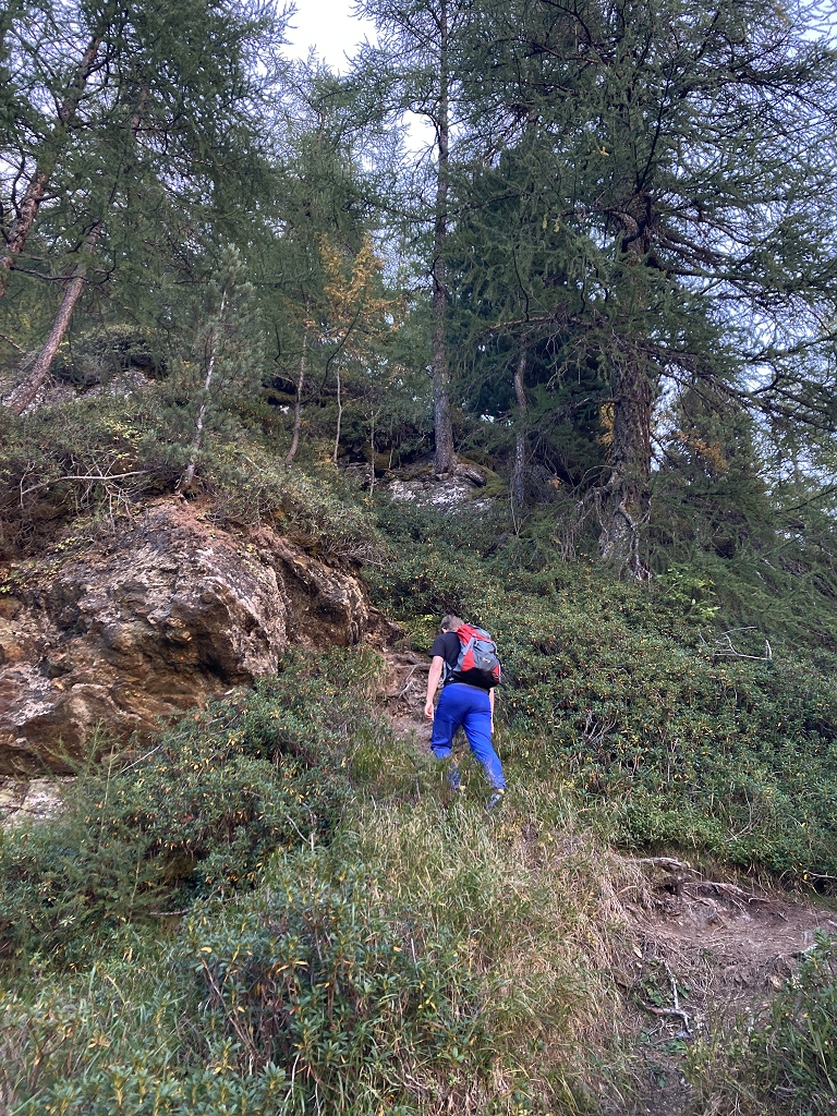 Die letzten Meter gehts nur noch durch den Wald