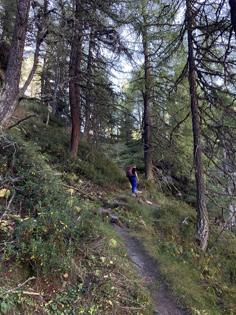 Die letzten Meter gehts nur noch durch den Wald