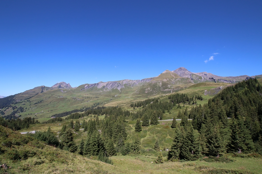Wetterhorntrek: Von der Glecksteinhütte zur Schwarzwaldalp - Weg zur Großen Scheidegg