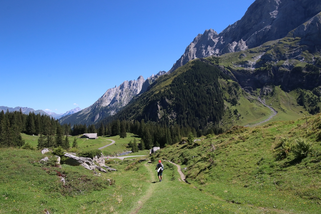 Wetterhorntrek: Von der Glecksteinhütte zur Schwarzwaldalp - Abstieg zur Schwarzwaldalp