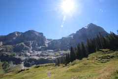 Wetterhorntrek: Von der Glecksteinhütte zur Schwarzwaldalp - Abstieg zur Schwarzwaldalp