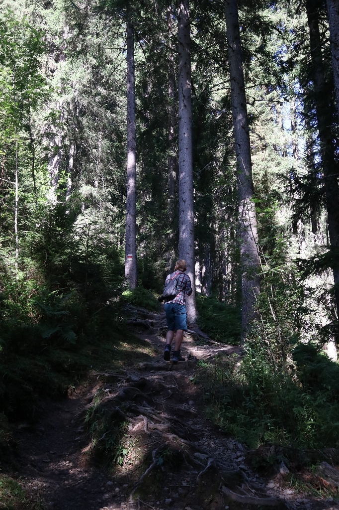 Mountain View Trail von der Grütschalp nach Mürren