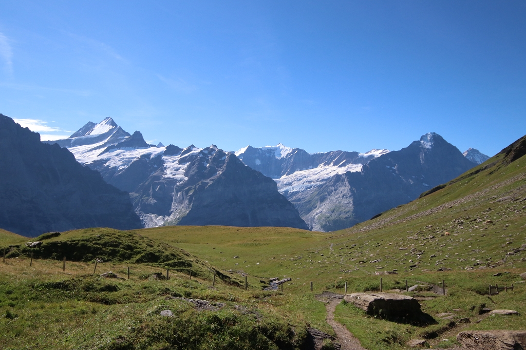 Durch den Distelboden zum Einstieg des Schwarzhorn-Klettersteigs