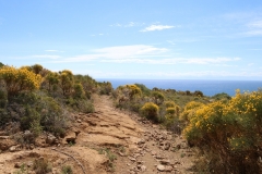 Wanderweg zum Punta del Corvo