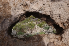 Blick durch ein Felsenloch