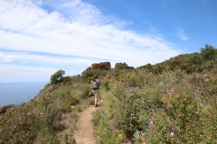 Die letzten Meter bis zum höchsten Punkt Panareas - dem Punta del Corvo