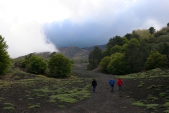 Alte Lavafelder in der Region Etna Nord