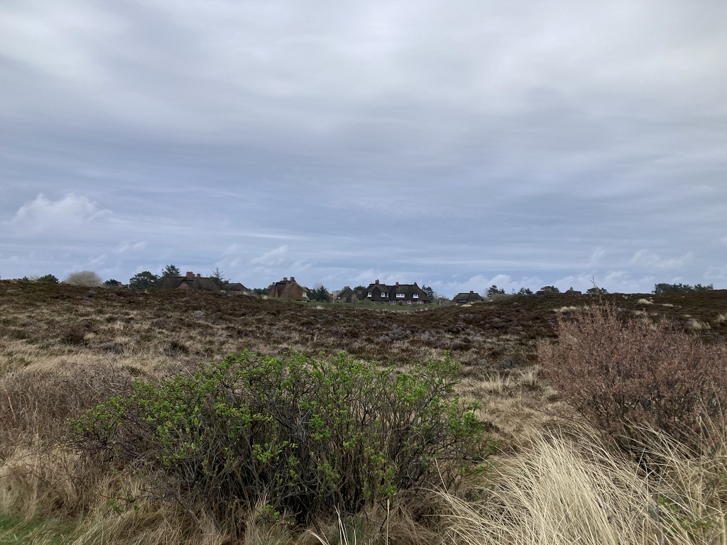 Auf dem Weg zur Aussichtsdüne "Uwe-Düne"