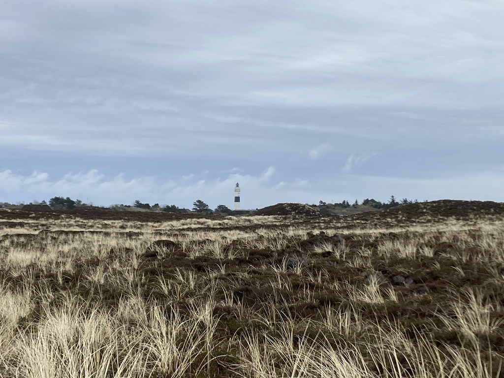 Auf dem Weg zur Aussichtsdüne "Uwe-Düne"