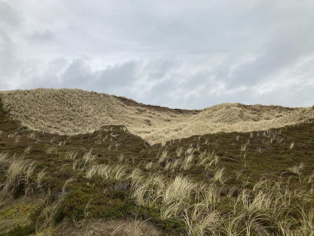 Auf dem Weg zum Roten Kliff auf Sylt