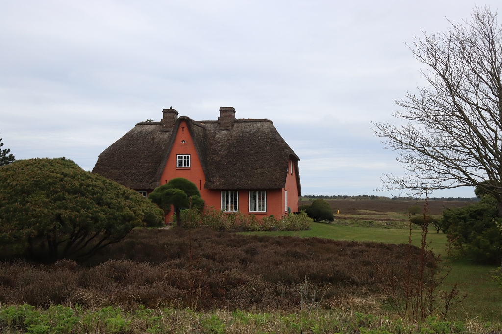 Reetgedeckte Häuser auf Sylt