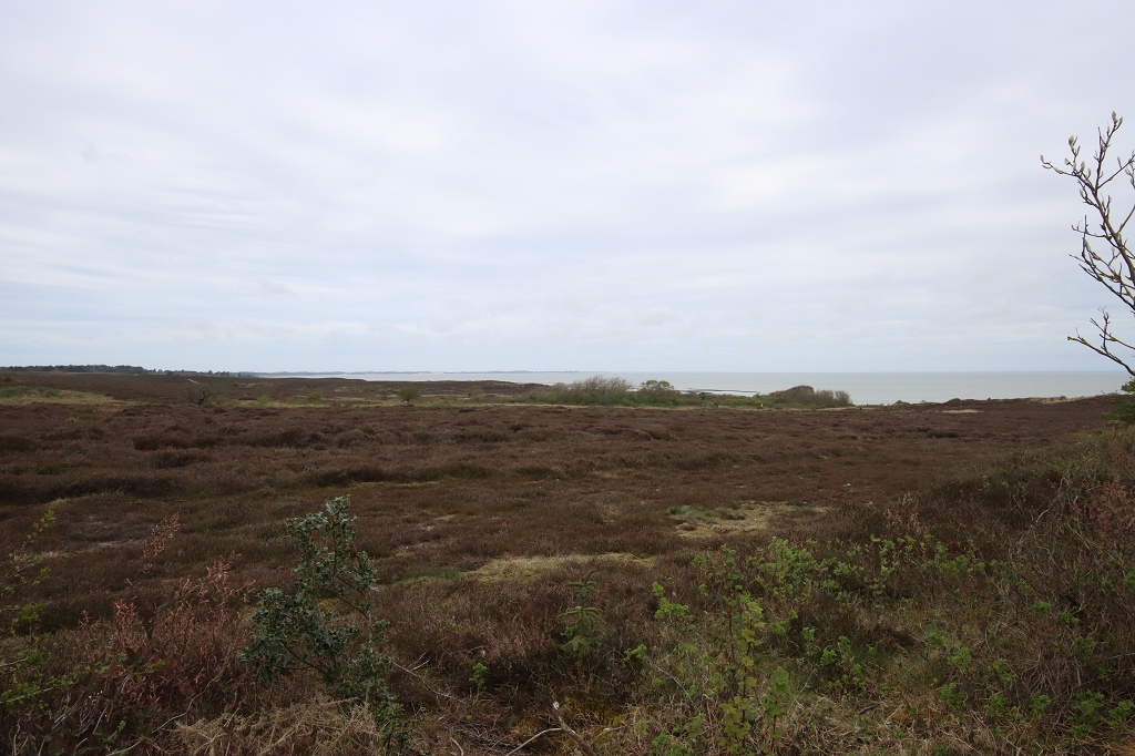 Reetgedeckte Häuser auf Sylt