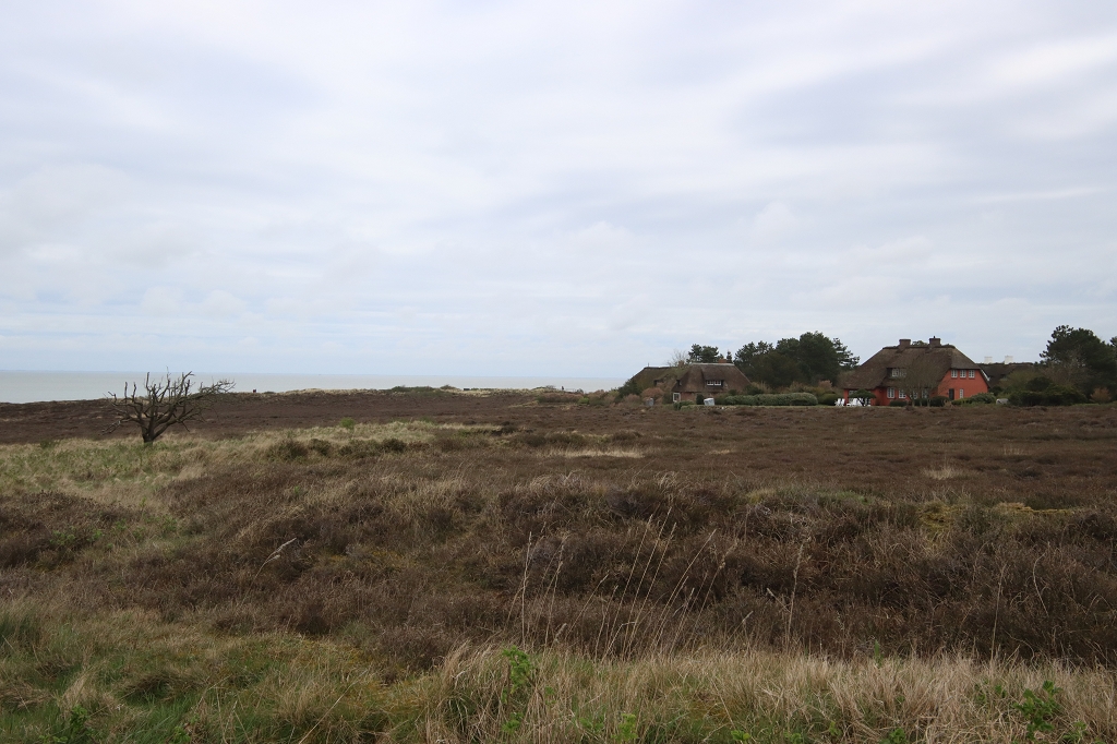 Wanderung durch die Braderuper Heide