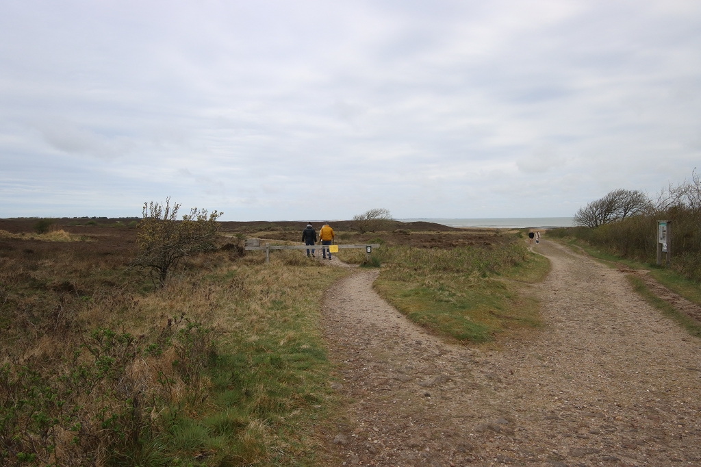 Wanderung durch die Braderuper Heide