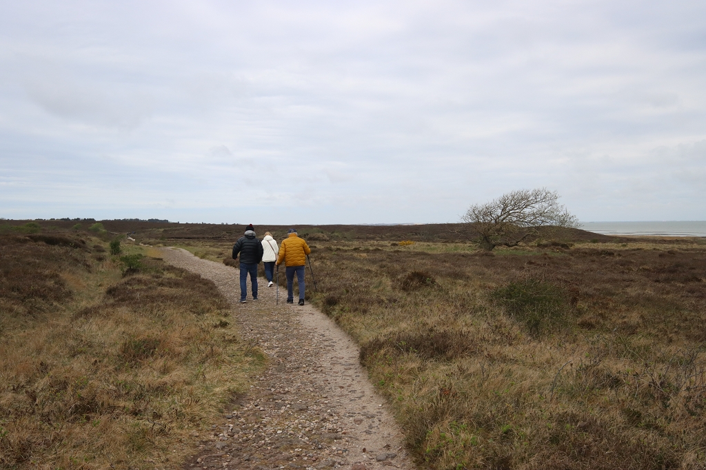 Wanderung durch die Braderuper Heide