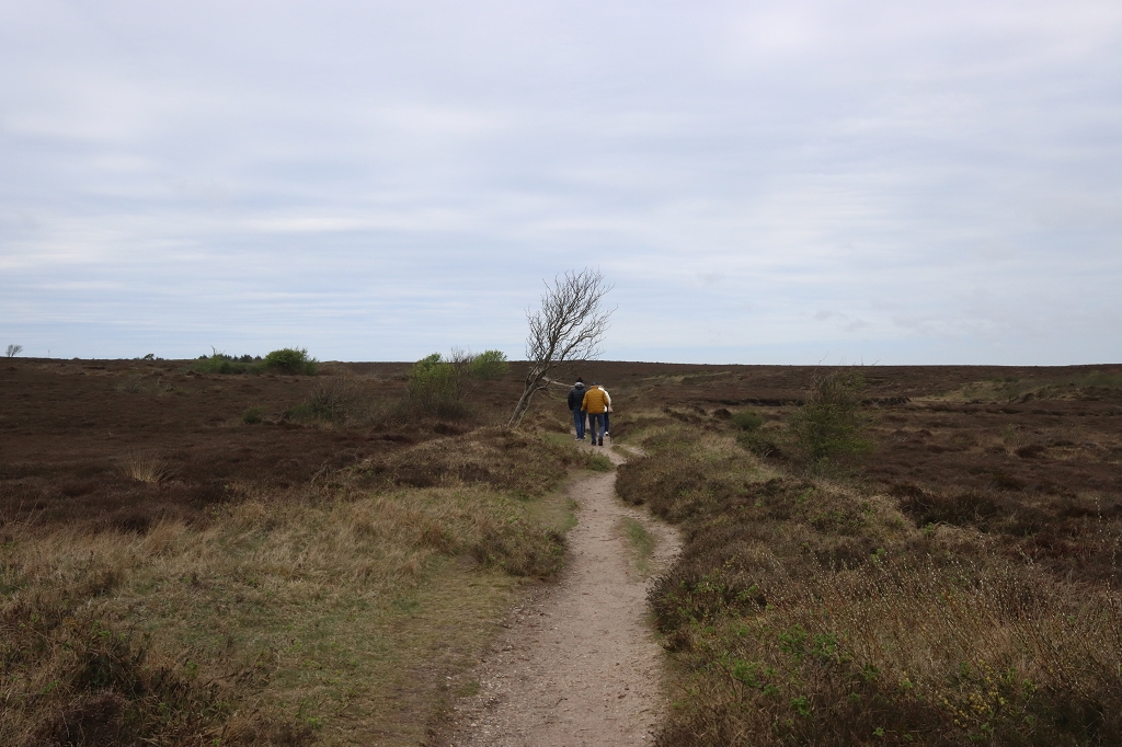Wanderung durch die Braderuper Heide