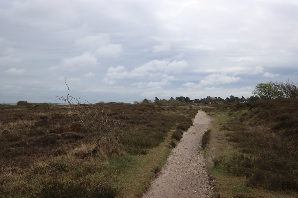 Wanderung durch die Braderuper Heide