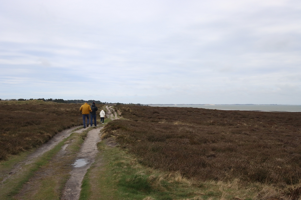 Wanderung durch die Braderuper Heide