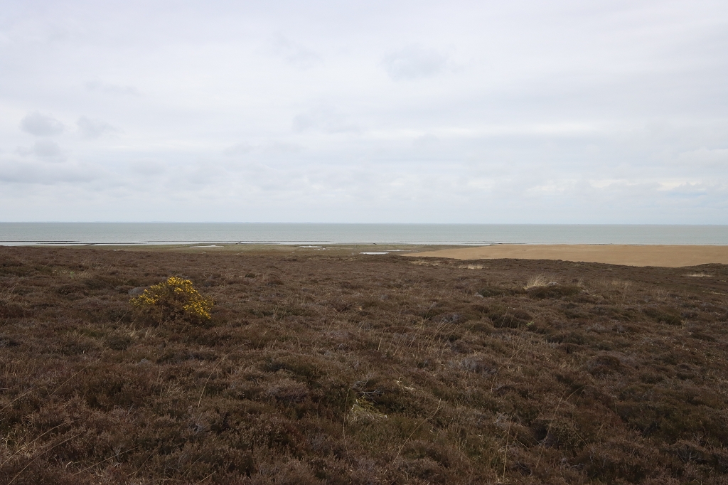 Wanderung durch die Braderuper Heide