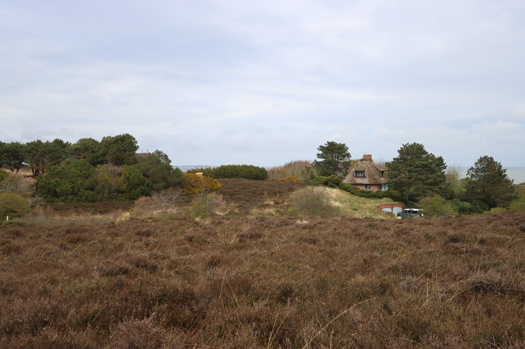 Wanderung durch die Braderuper Heide