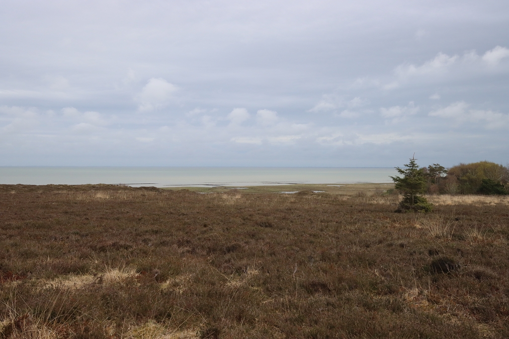 Wanderung durch die Braderuper Heide
