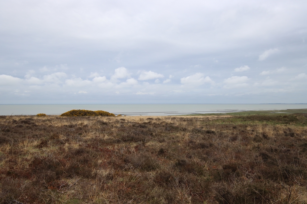 Wanderung durch die Braderuper Heide