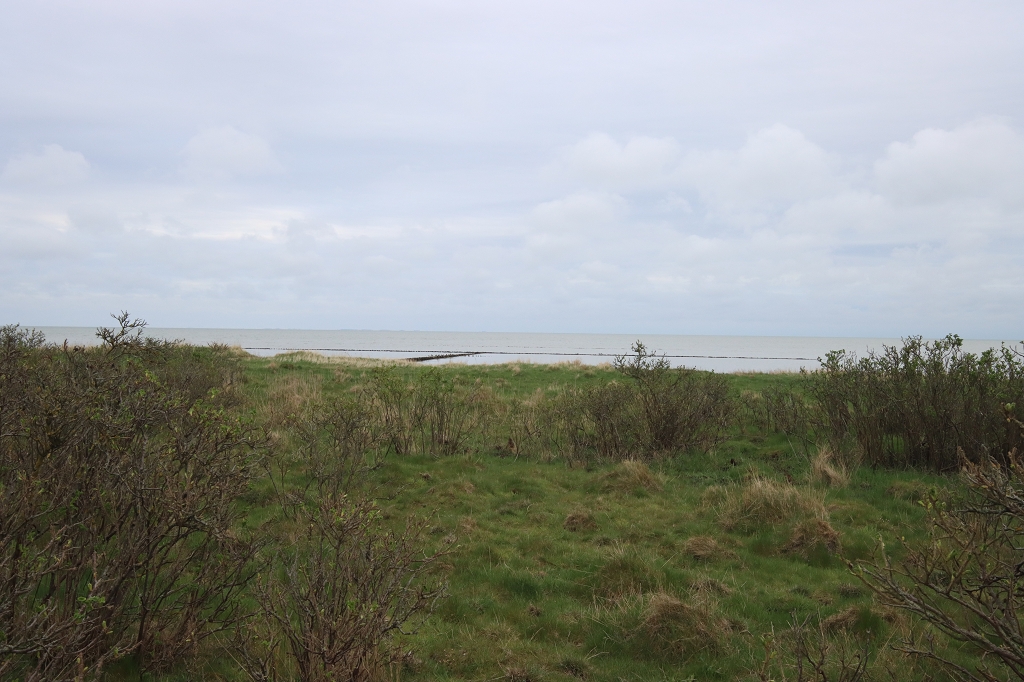 Wanderung durch die Braderuper Heide