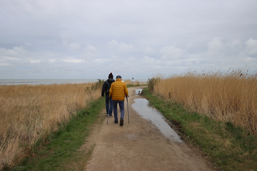 Wanderung durch die Braderuper Heide