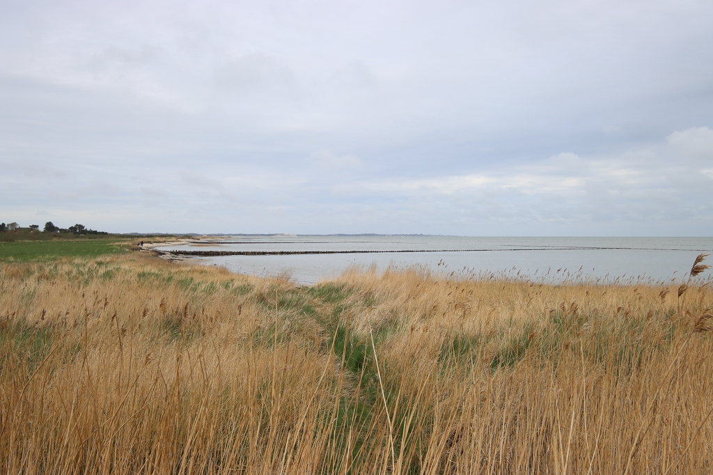 Wanderung durch die Braderuper Heide