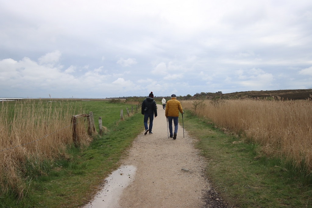 Wanderung durch die Braderuper Heide