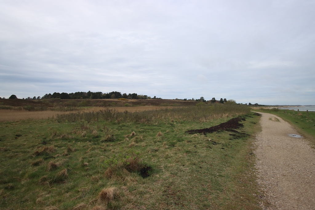 Wanderung durch die Braderuper Heide