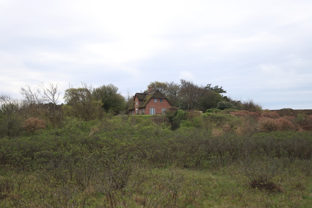 Wanderung durch die Braderuper Heide