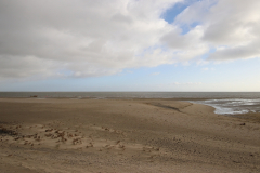 Am Strand von Texel