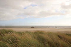 Das Wattenmeer von Texel