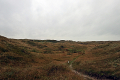 Spaziergang durch die Dünen von Eierland auf Texel
