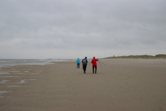 Spaziergang am Strand Texel