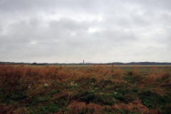 Spaziergang durch die Dünen von Eierland auf Texel
