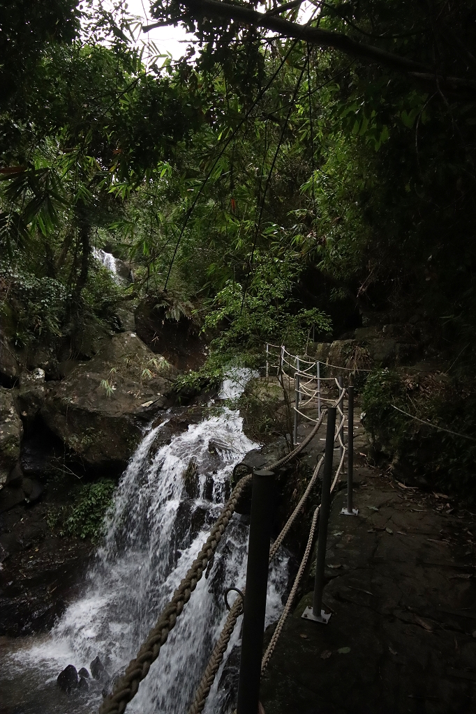 Wanderung im Phong Nha-Ke Bang-Nationalpark