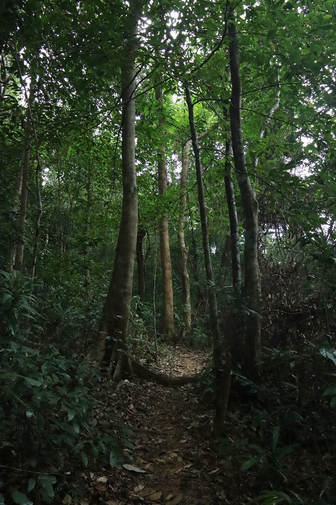 Wanderung im Phong Nha-Ke Bang-Nationalpark