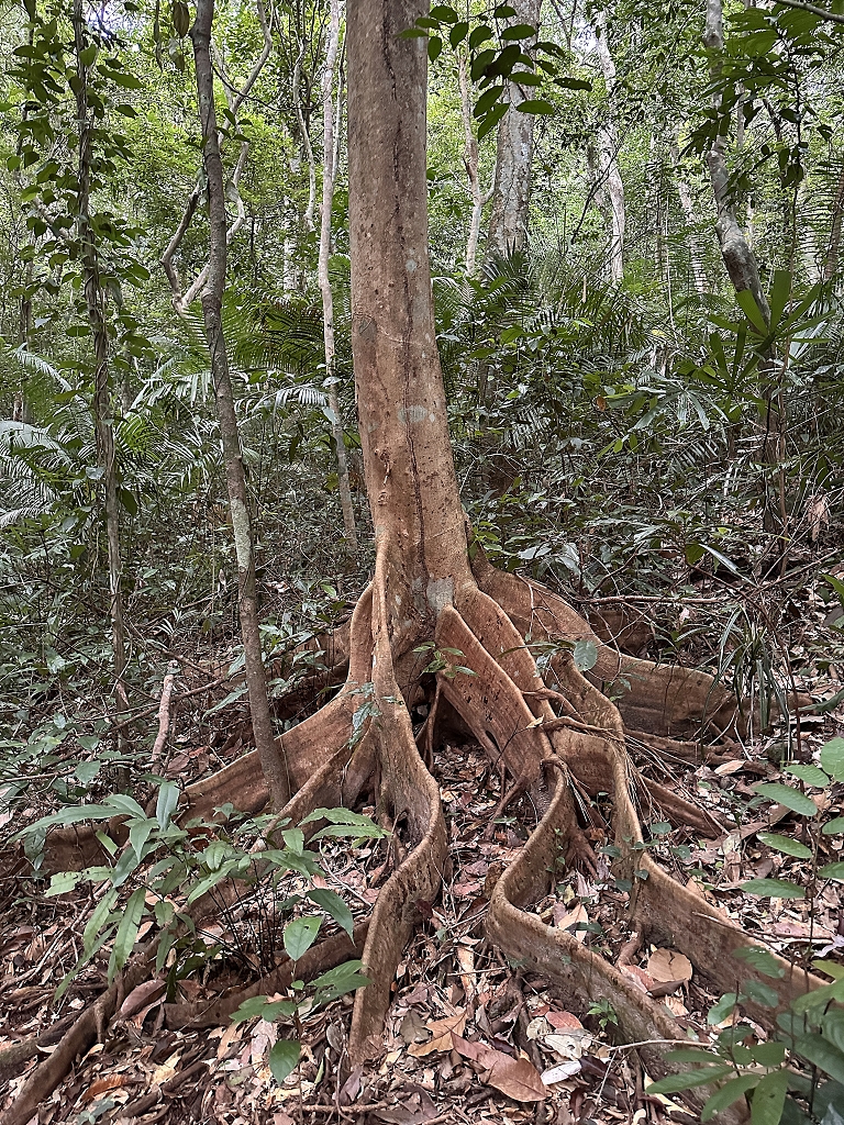 Wanderung im Phong Nha-Ke Bang-Nationalpark