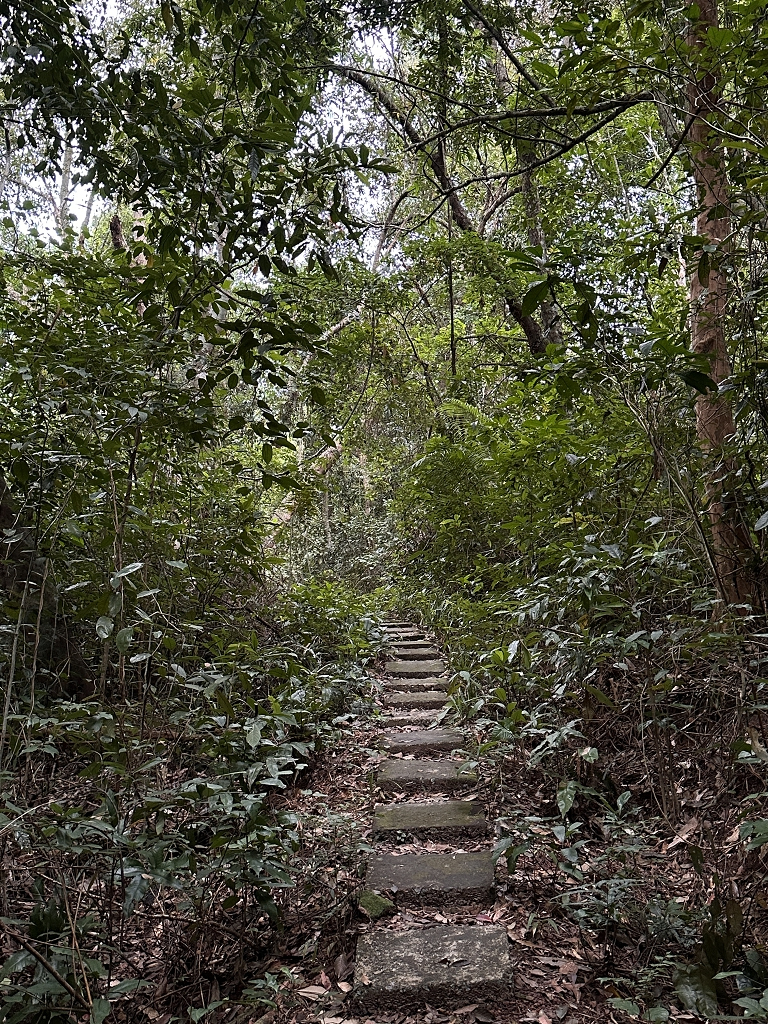Wanderung im Phong Nha-Ke Bang-Nationalpark