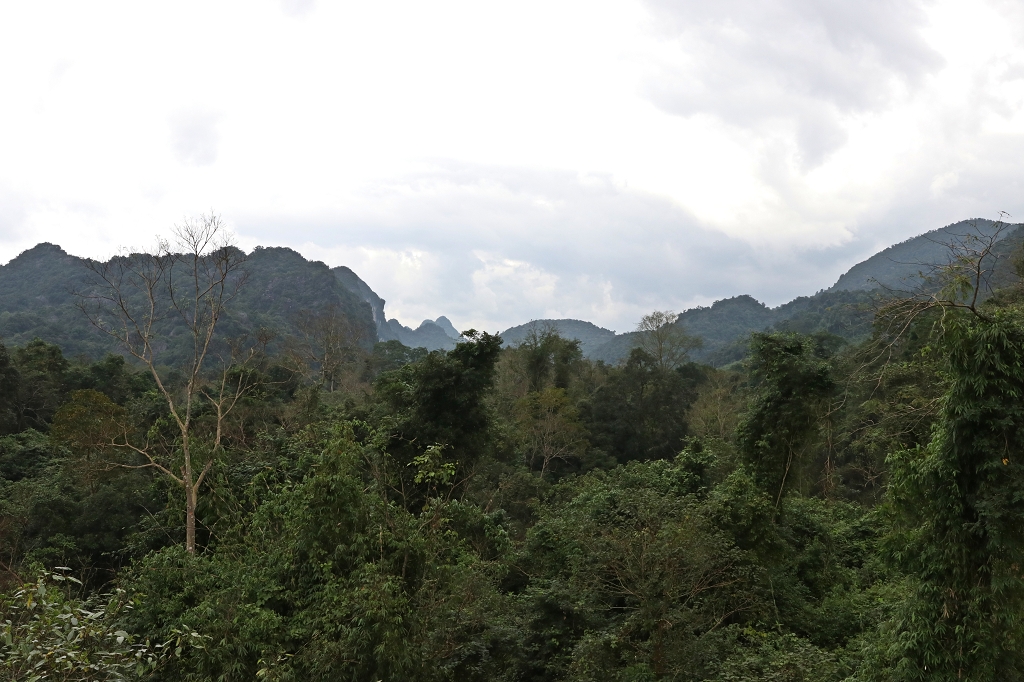 Rückfahrt nach Phong Nha