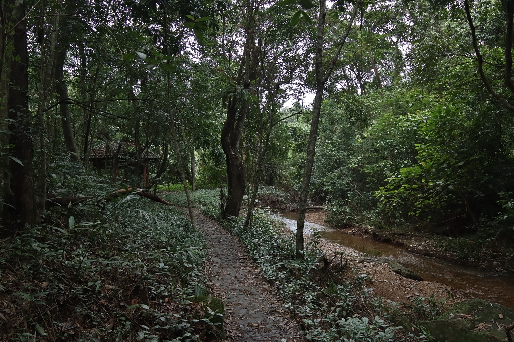 Wanderung zum Gio-Wasserfall im Phong Nha-Ke Bang-Nationalpark