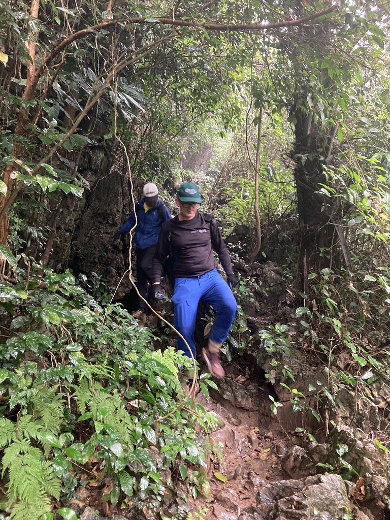 Abwärts auf rutschigen Pfaden