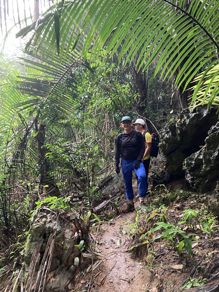Bergab durch den Dschungel zum Camp