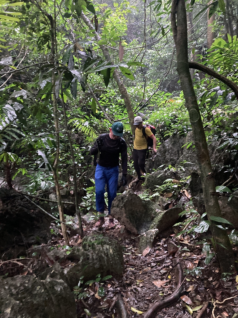 Bergab durch den Dschungel zum Camp