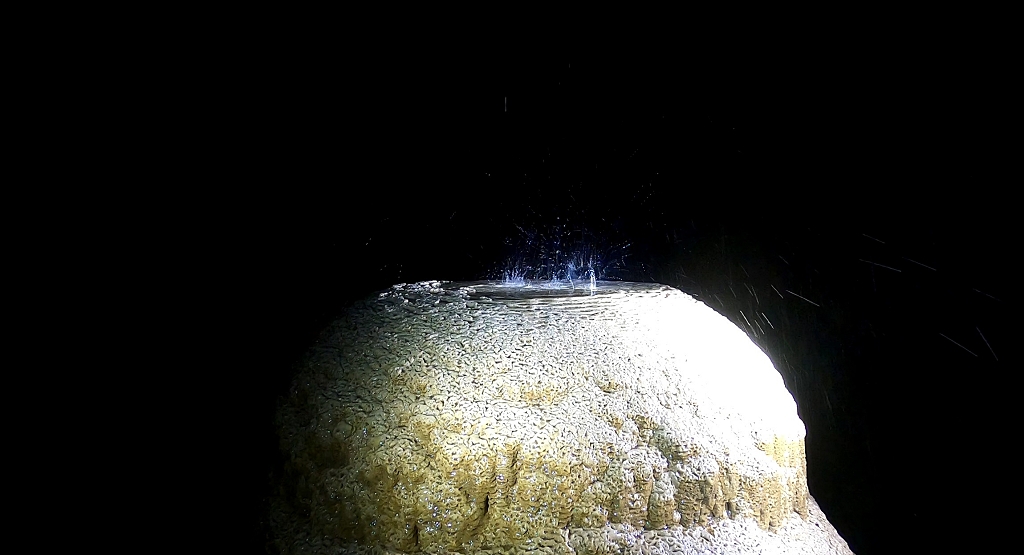 Erkundung der Kim Cave